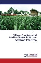 Tillage Practices and Fertilizer Rates in Maize-Soybean Intercrop