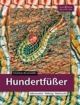 Hundertfüßer