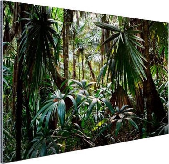 Wanddecoratie Metaal - Aluminium Schilderij - Planten in regenwoud