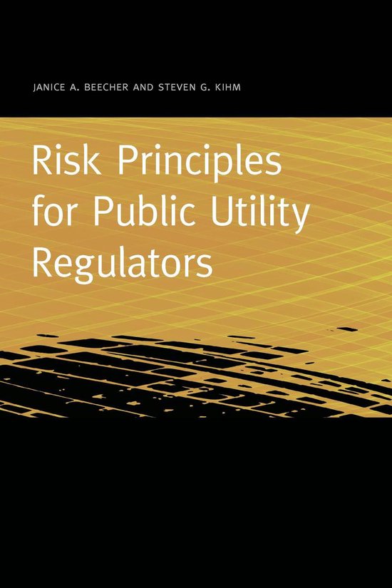 Public Utility Regulation Risk Principles for Public Utility