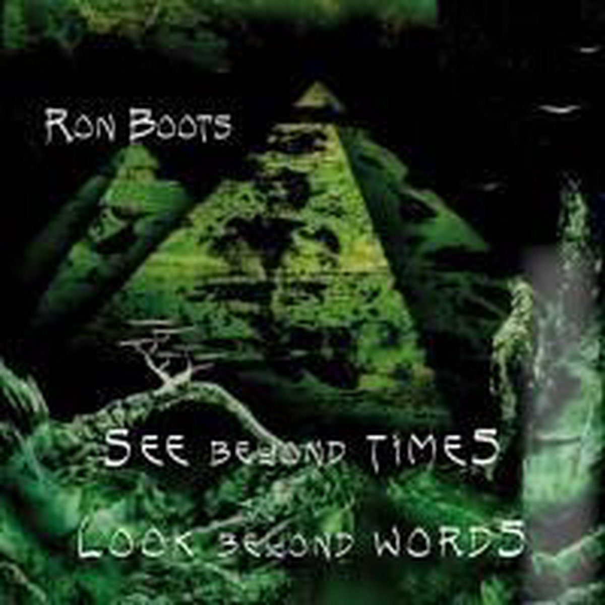 See Beyond Times and Look Beyond Words