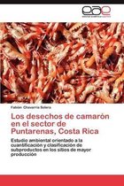 Los Desechos de Camaron En El Sector de Puntarenas, Costa Rica