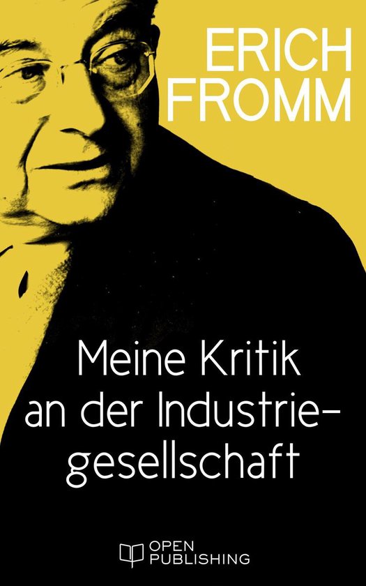Meine Kritik an der Industriegesellschaft - cover