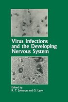 Virus Infections and the Developing Nervous System