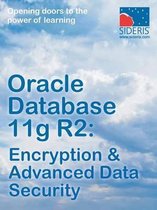 Oracle Database 11g R2