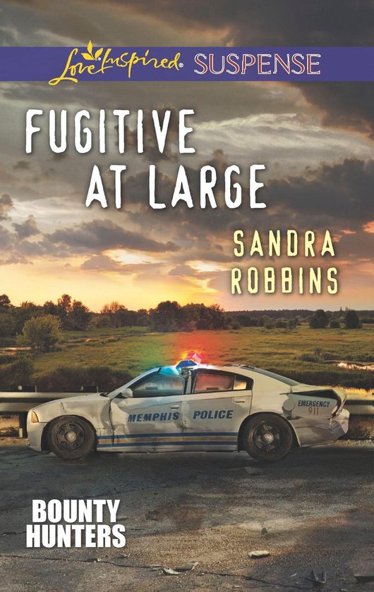 Bounty Hunters 2 - Fugitive at Large - cover