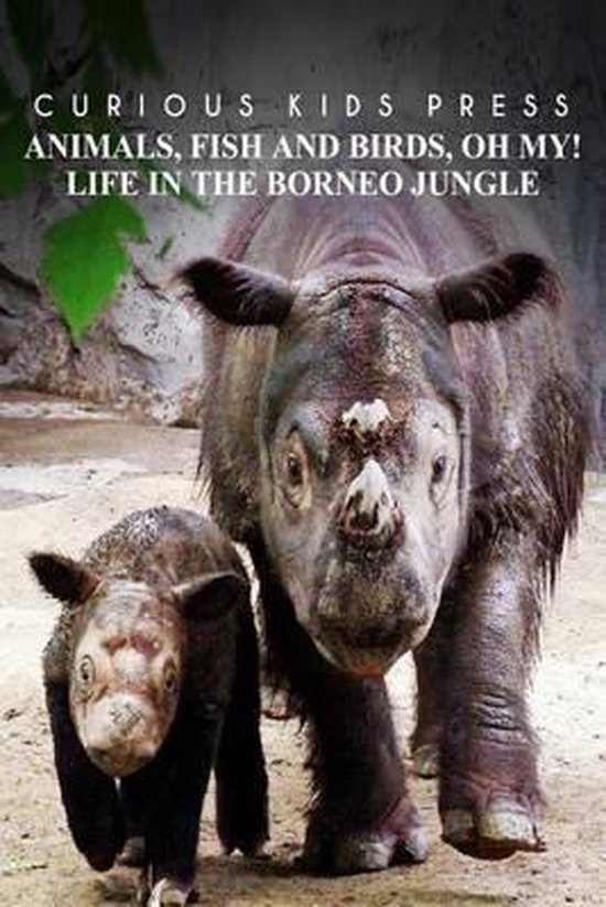 Animals, Fish and Birds, Oh My! Life In The Borneo Jungle -  ... - cover