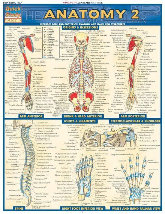 Anatomy 2 - cover