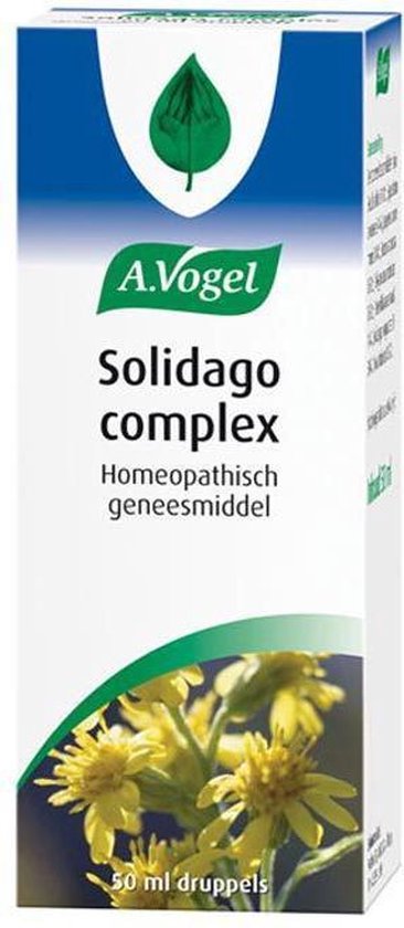 Solidago Complex Ml Bol Com