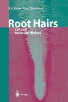 Root Hairs
