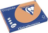 Clairefontaine Trophée Pastel A3 moka 120 g 250 feuilles