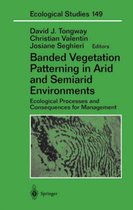 Banded Vegetation Patterning in Arid and Semiarid Environments
