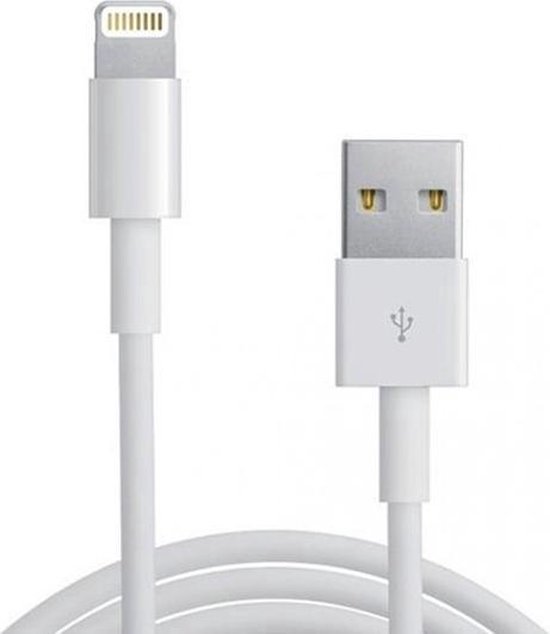 Oplader Voor Apple iPhone 5 / 5S / 5C / 6 / 6 PLUS / iPad Mini - USB Lader  en... | bol.com