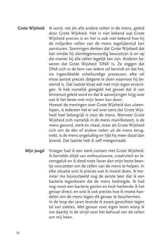 Tekstpagina met kopjes 'Grote Wijsheid' en 'Mijn jeugd' en alinea's tekst.