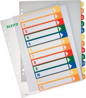 6x Esselte PC printbare Project Indexen 12 tabs