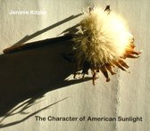 Character of American Sunlight