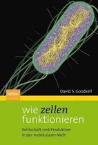 Wie Zellen Funktionieren