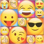13x Emoji smiley memo magneten type 2