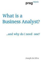 What Is a Business Analyst?