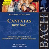 Bach-Ensemble, Helmuth Rilling - J.S. Bach: Cantatas Bwv 30, 31 (CD)