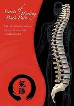 Secrets of Healing Back Pain