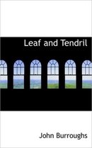 Leaf and Tendril