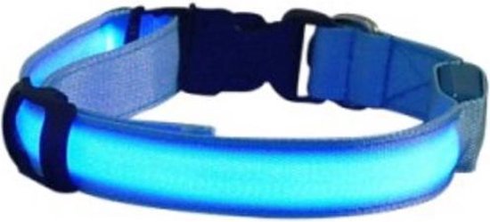 LED honden halsband - Blauw L