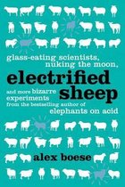 Electrified Sheep