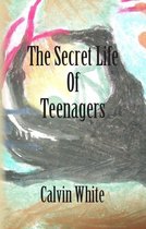 The Secret Life of Teenagers