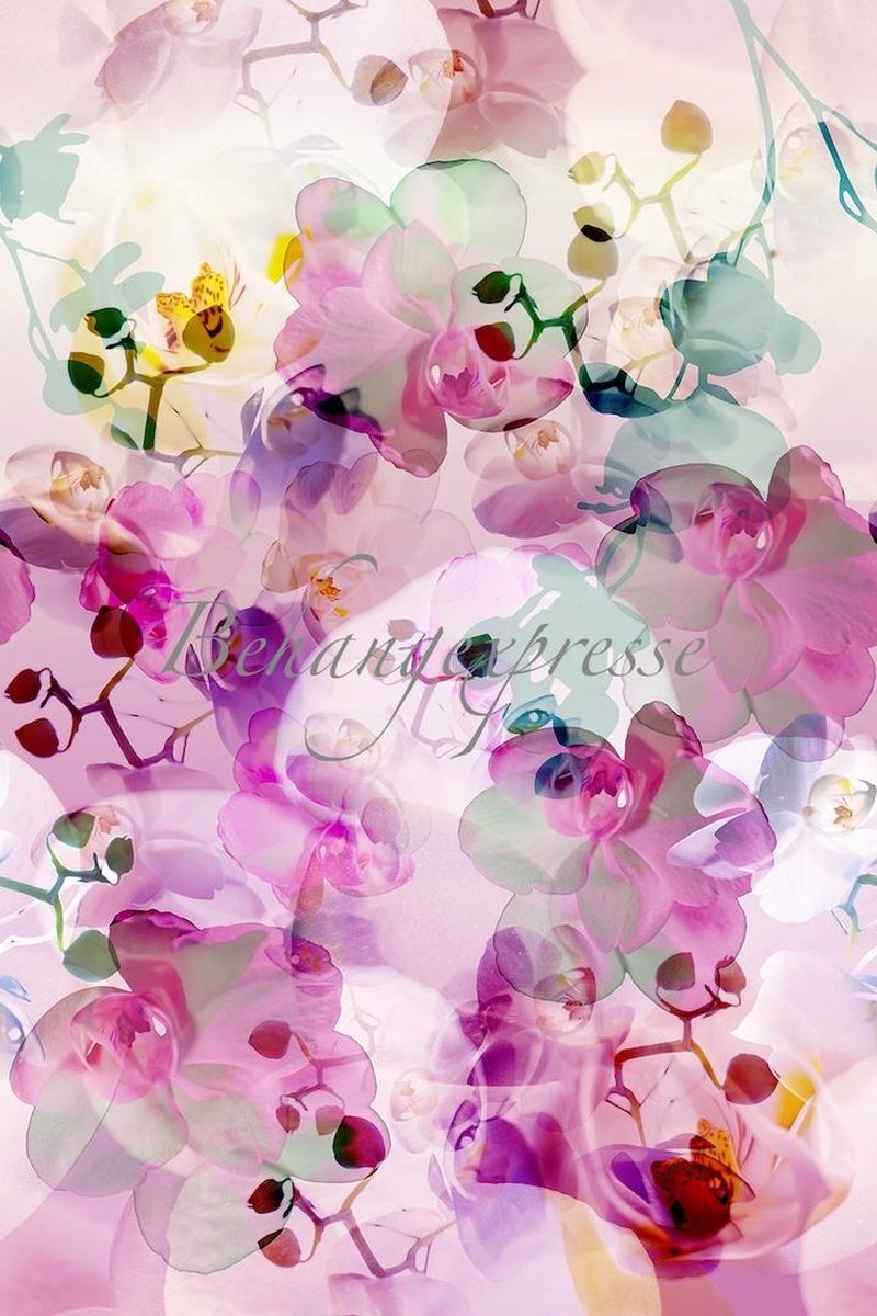 Orchids Soft Behang