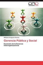 Gerencia Publica y Social