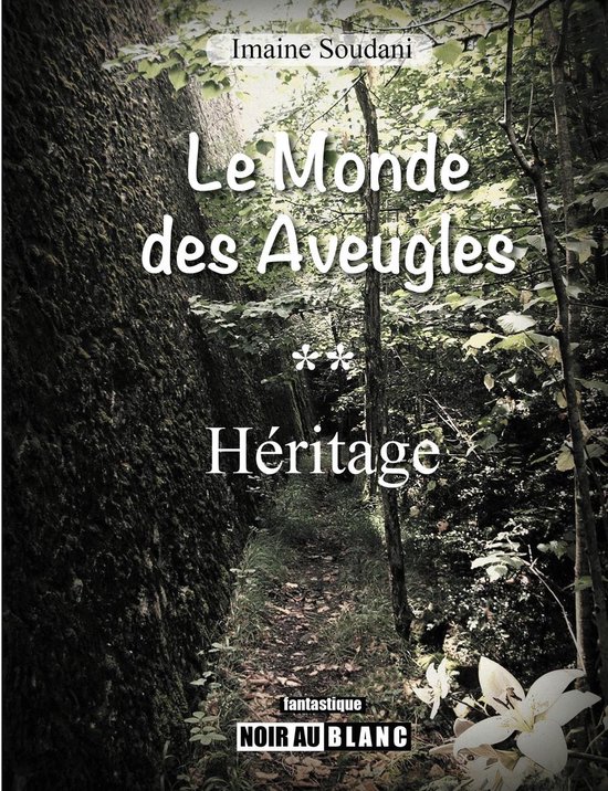 Le Monde des Aveugles 2 - Héritage - cover