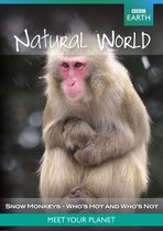 Natural World Coll; Snow Monkey