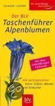 Der Blv Taschenführer Alpenblumen