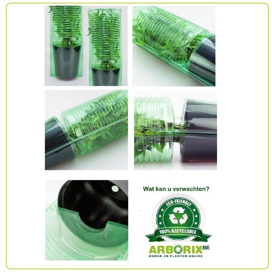 Plante verte dans un emballage plastique transparent avec un pot noir.