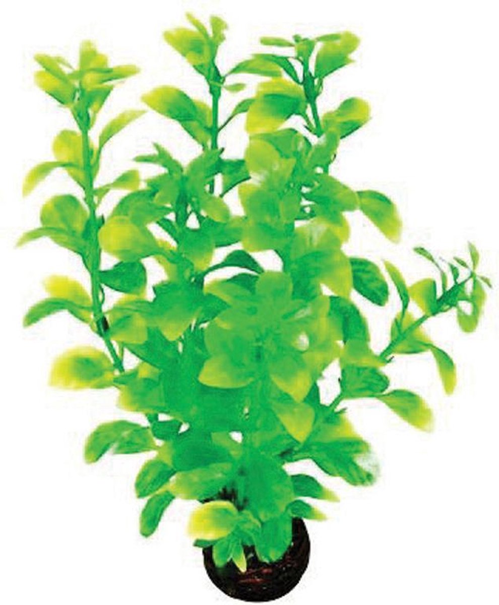 Superfish Easy Plants middel 20 cm - nr 2 thumbnail 2