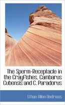 The Sperm-Receptacle in the Crayfishes, Cambarus Cubensis and C. Paradorus