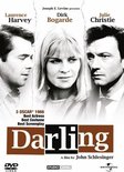 Darling (D)