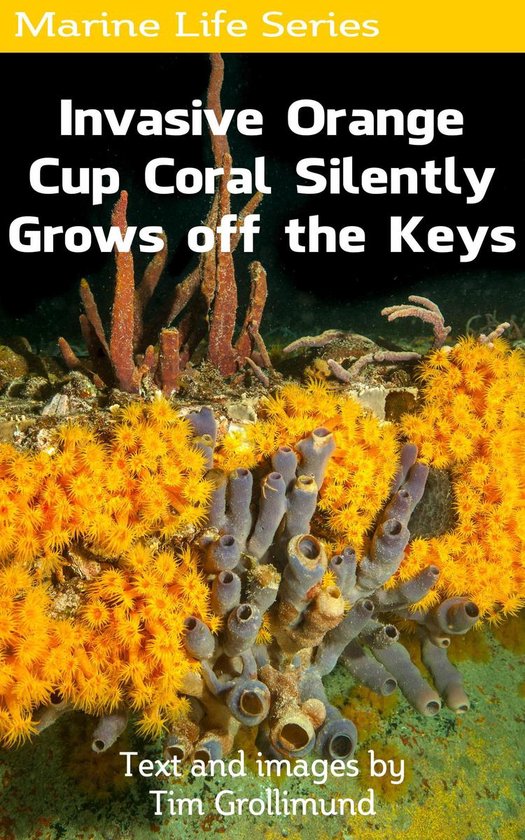 Marine Life 11 - Invasive Orange Cup Coral Silently Grows of ... - cover