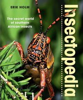 Insectopedia – The secret world of southern African insects