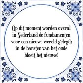 Tegeltje met Spreuk (Tegeltjeswijsheid): Op dit moment worden overal in Nederland de fundamenten voor een nieuwe wereld gelegd; in de barsten van het oude bloeit het nieuwe! + Kado