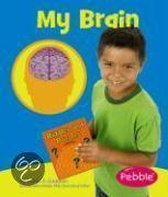 My Brain