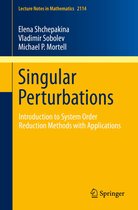 Lecture Notes in Mathematics 2114 - Singular Perturbations