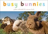 A Busy Book - Busy Bunnies