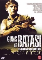 Guns At Batasi