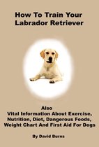 How To Train Your Labrador Retriever