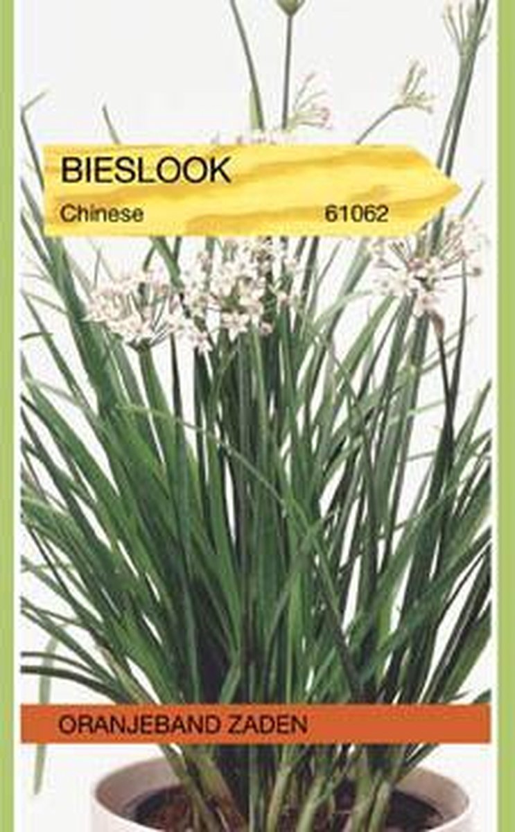 Bieslook Chinese