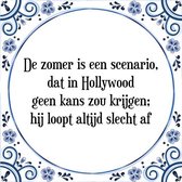 Tegeltje met Spreuk (Tegeltjeswijsheid): De zomer is een scenario, dat in Hollywood geen kans zou krijgen; hij loopt altijd slecht af + Kado verpakking & Plakhanger