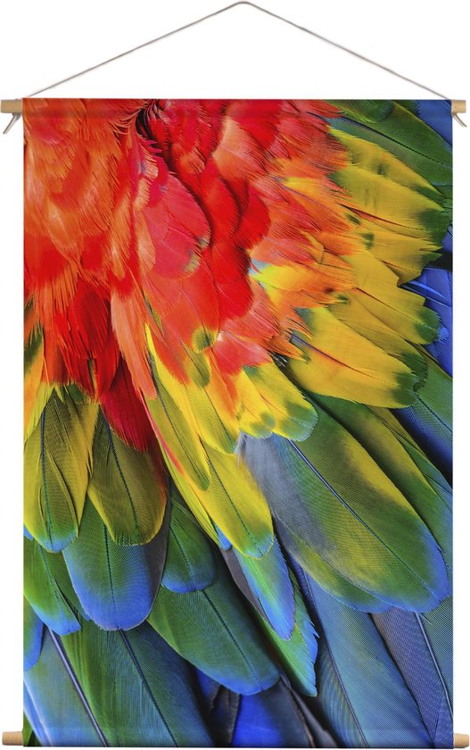 Papegaaien veren | Dieren | Textieldoek | Textielposter | Wanddecoratie | 30CM x 45CM” | Schilderij