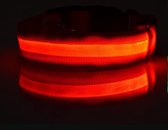 HMerch™ LED halsband voor honden - Lichtgevende halsbanden voor hond - Puppy halsbandje - Lichtgevend - Rood - L